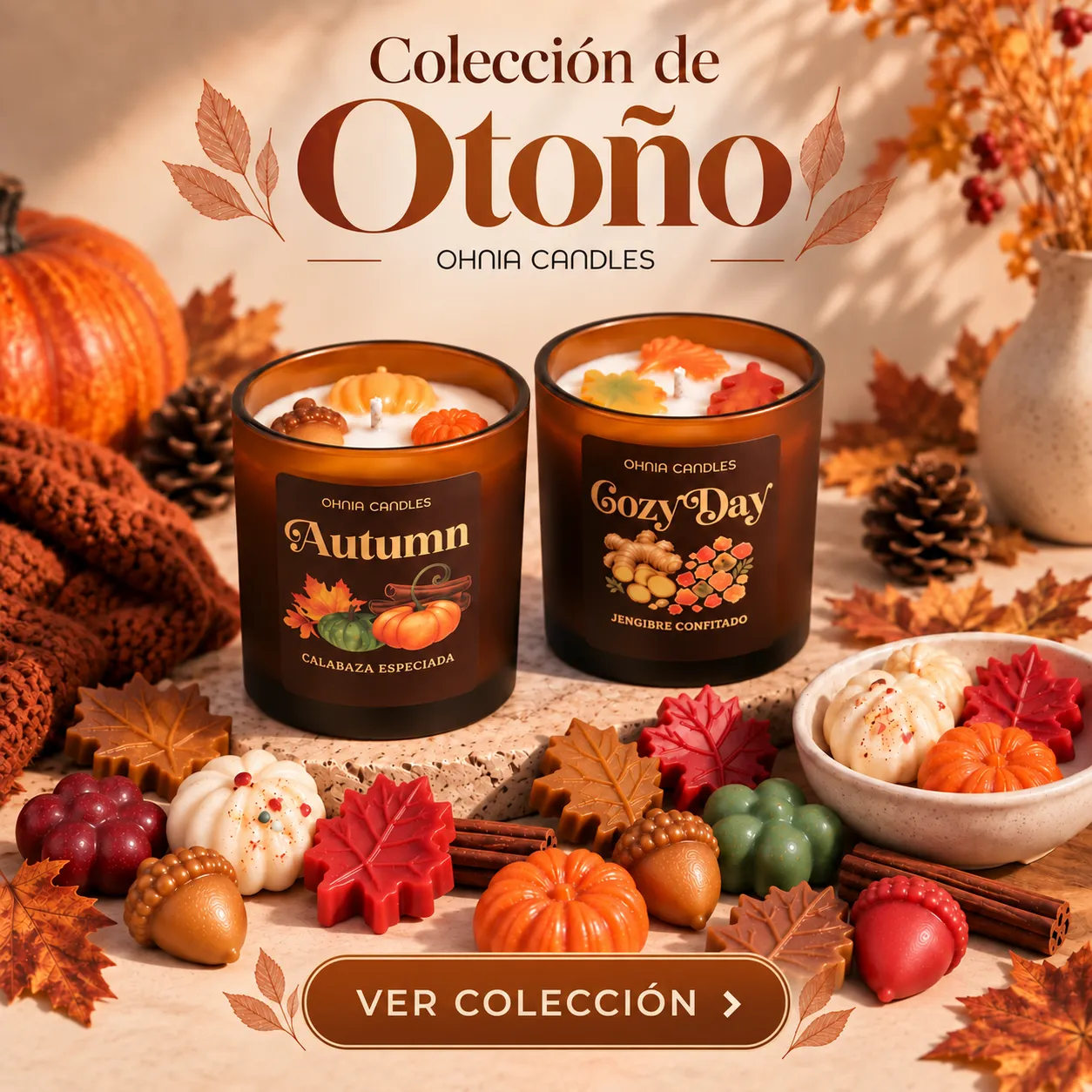 Promoción OHNIA